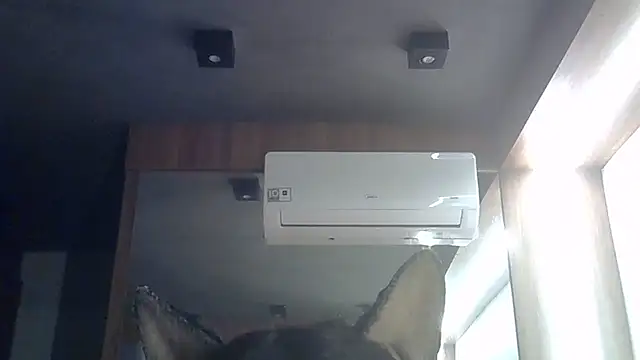 Snapshot of Skinny-Kitten chatting on June 28, 2026, 1:39 pm Skinny-Kitten online show from June 28, 2026, 1:39 pm