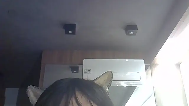 Snapshot of Skinny-Kitten chatting on July 7, 2026, 6:47 am Skinny-Kitten online show from July 7, 2026, 6:47 am