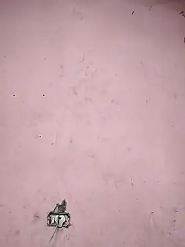 Snapshot of Sliced_Digit chatting on March 9, 2025, 10:41 pm Sliced Digit online show from March 9, 2025, 10:41 pm