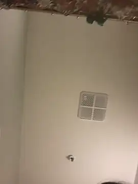 lofibunni online show from April 11, 2026, 5:17 pm