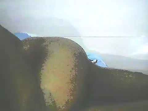 Stormward online show from January 12, 2025, 12:28 am