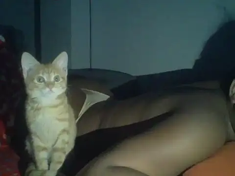 val5 online show from January 17, 2026, 3:00 am