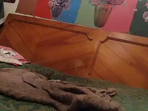 EllyseJenner online show from December 17, 2024, 6:31 pm