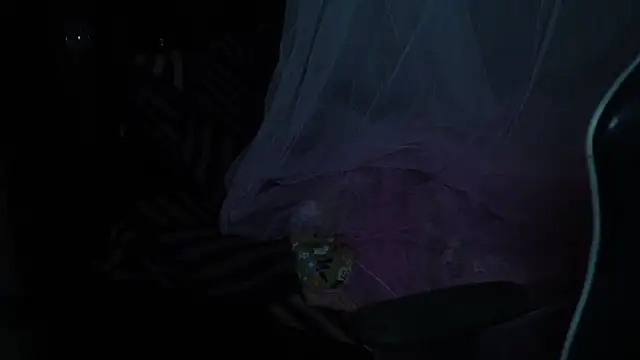 -AyeshaSinghania- online show from November 18, 2025, 6:23 pm