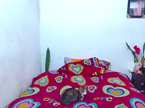 Snapshot of The_wickles_4443 chatting on February 14, 2025, 4:09 pm The wickles 4443 online show from February 14, 2025, 4:09 pm