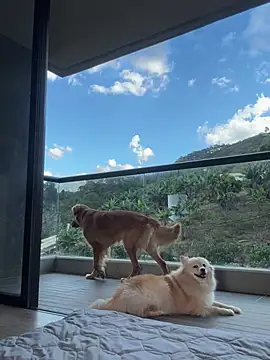 Helenbronwx online show from January 17, 2025, 9:28 pm