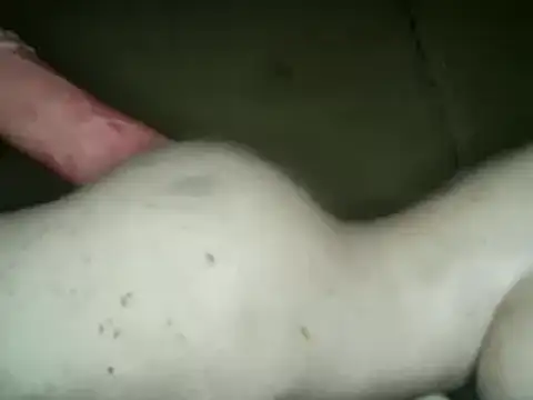 Snapshot of xxxlecram chatting on March 4, 2025, 4:17 am xxxlecram online show from March 4, 2025, 4:17 am