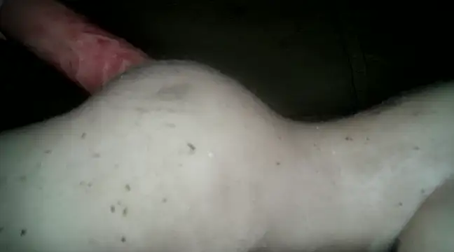 Snapshot of xxxlecram chatting on March 14, 2025, 6:07 pm xxxlecram online show from March 14, 2025, 6:07 pm