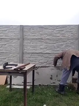 Snapshot of Pandasky chatting on February 6, 2025, 11:32 am Pandasky online show from February 6, 2025, 11:32 am