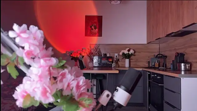 Snapshot of YourOblivion chatting on February 24, 2026, 8:18 pm YourOblivion online show from February 24, 2026, 8:18 pm