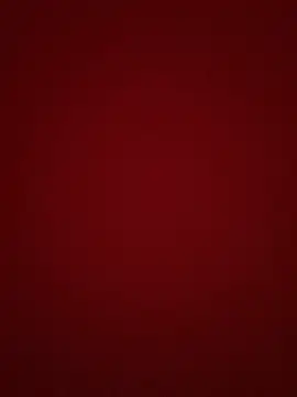 pamela anderson  online show from December 18, 2024, 10:40 am