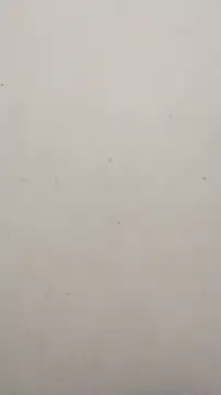 Shuttii 25 online show from January 16, 2025, 4:38 am