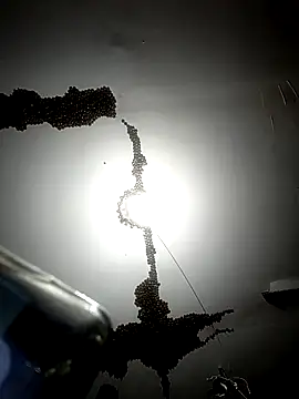 ColdVisitor online show from February 6, 2026, 1:32 am