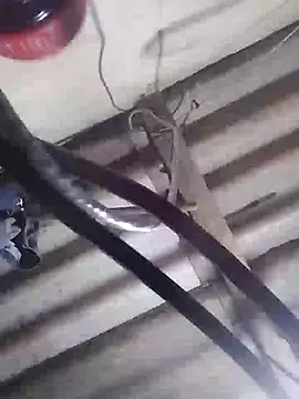 Snapshot of davidatration15 chatting on March 5, 2025, 1:10 am davidatration15 online show from March 5, 2025, 1:10 am