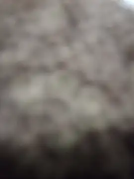 Snapshot of Wedgie_boy chatting on March 1, 2026, 12:12 am Wedgie boy online show from March 1, 2026, 12:12 am