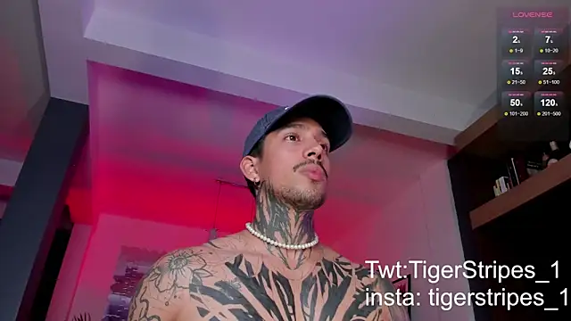 Snapshot of TigerStripes1_ chatting on March 3, 2025, 11:46 pm TigerStripes1 online show from March 3, 2025, 11:46 pm