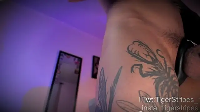 TigerStripes1  online show from April 10, 2026, 12:32 pm