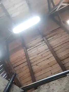 lotrando54 online show from December 29, 2024, 7:50 am